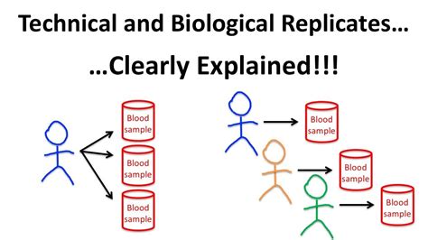 biological replicates meaning